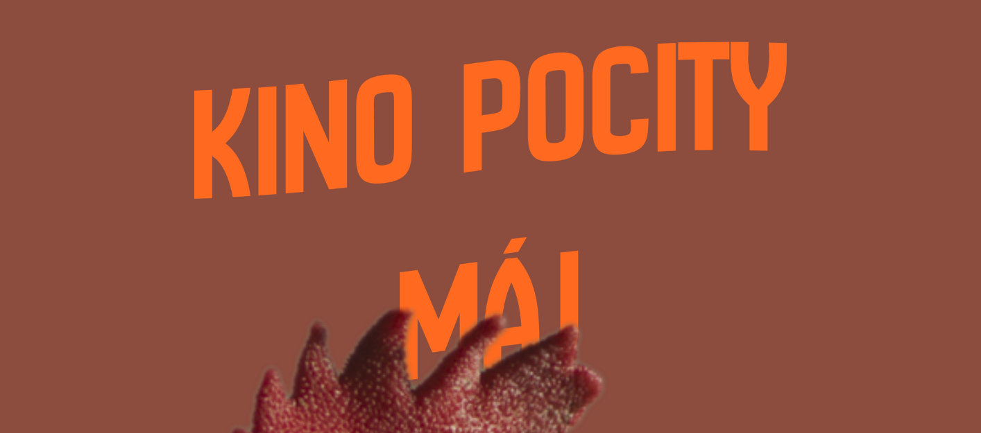 PROGRAM MÁJ